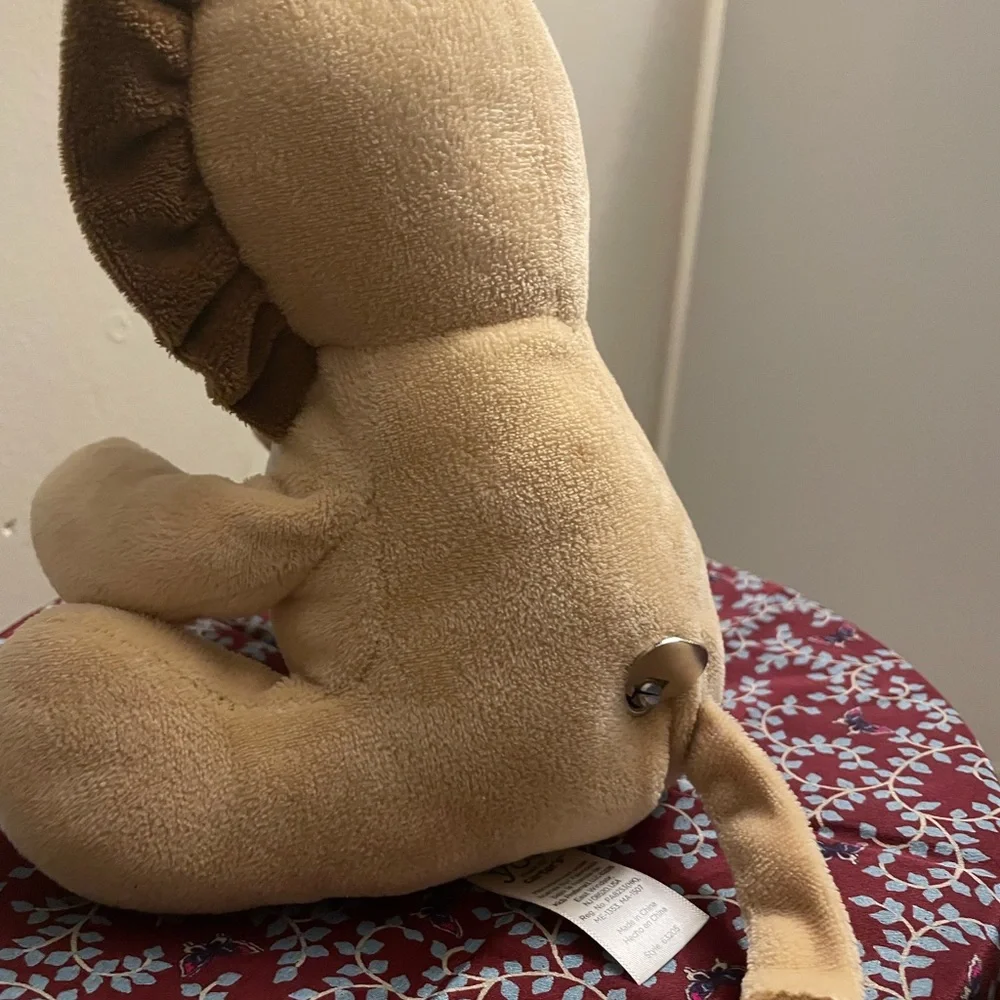 Carters soft lion